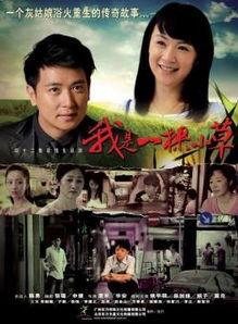 我是一棵小草电视剧,小草的奋斗与成长